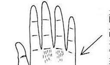 浪费型的女人手相