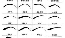 眉毛如何看命运吉凶