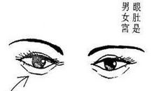 女人面相之男女宫