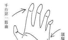 贪心的女人手相