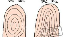 指纹算命：二箩三簸箕