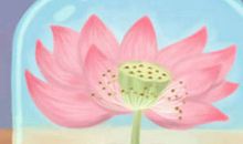 12星座下半年的买房运势