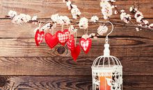 相亲中最吃香的女人面相