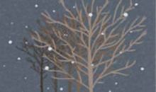 2013年12星座高考运势