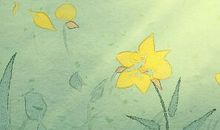 夏季12星座开运地