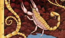 天蝎座今日运势2012年11月20日