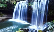 狂月每日运势2014年1月16日