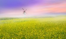 双子座今日运势2012年4月12日