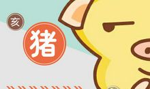 第一运程：2019年属猪每月运势
