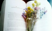 小乖麻根等卓玛2017年5月处女座运势