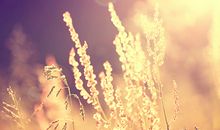 喜神方位查询 2020年8月30日喜神在哪个方位