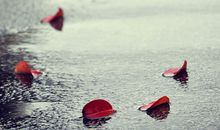 苏珊米勒2014年3月天秤座运势完整版