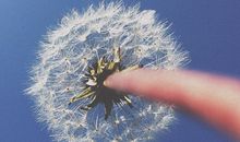 小乖麻根登卓玛2013年10月水瓶座运势