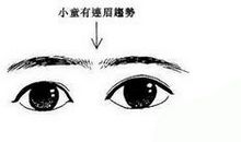 交连眉面相分析