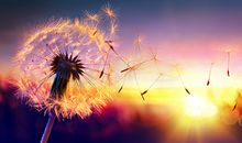 清明时节如何开运