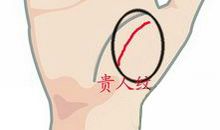 手相贵人纹图解