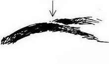 交加眉面相分析