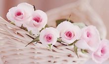 小乖麻根登卓玛2013年10月射手座运势