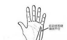 手相纵欲线图解