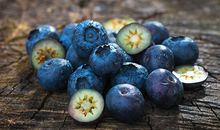 2020年6月26日今日凶时查询