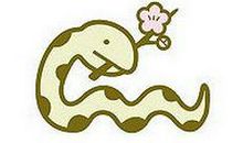 生肖为蛇的人是什么天才