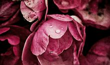 风水中驳婚煞怎么化解