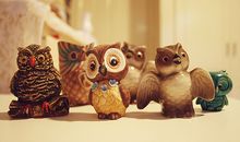 小乖麻根登卓玛2012年11月双子座运势