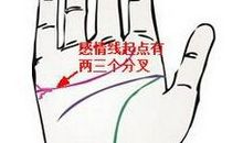 感情线起点分叉会怎样
