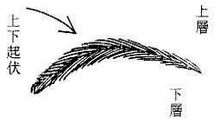 什么面相是散财相