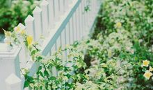 玛法达2018年天蝎座运势