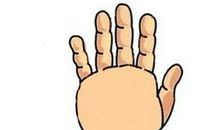 易成阔太太的手相