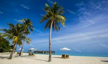 双子座今日运势2012年5月13日