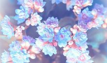 水瓶座今日运势2013年8月25日