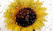 小乖麻根登卓玛2013年10月白羊座运势