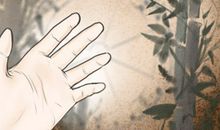 可以赚大钱的手相什么特征