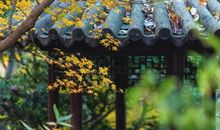 狂月每日运势2015年12月05日