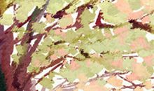 手相算命，从手相看你聪明度有多高？