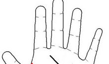 手相图解：你的器官老化程度