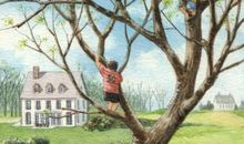 熊神进一周星座运程2013年8月25日至8月31日