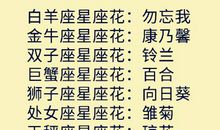 白羊座今日运势2015年12月4日