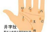 手相井纹图解