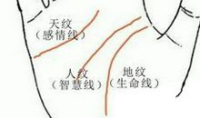 手相天纹图解