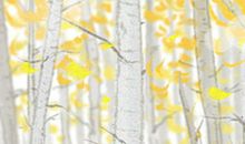 2015年二月适合搬家的黄道吉日