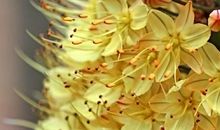 苏珊米勒2014年3月水瓶座运势完整版