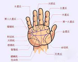 揭开手相之谜