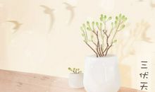 2020入伏吃什么传统食物 传统美食是什么