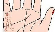 手相之水星线看运势