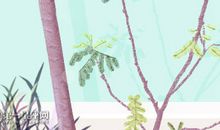 十里茶道一片花海 2020龙岩永福樱花什么时候开