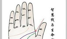 智慧线与生命线分开的手相图解