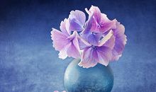 手相看你桃花从哪里来